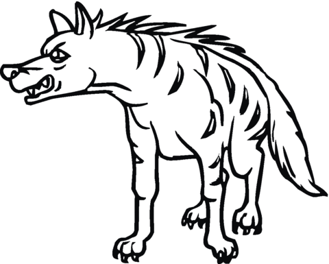 Striped Hyena 11 Coloring Page